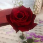 Discutii despre futai | Escorte prelungirea ghencea