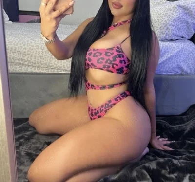 Escorte ploiești : gay escort