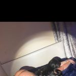 Forum escorte : transexuale excorte