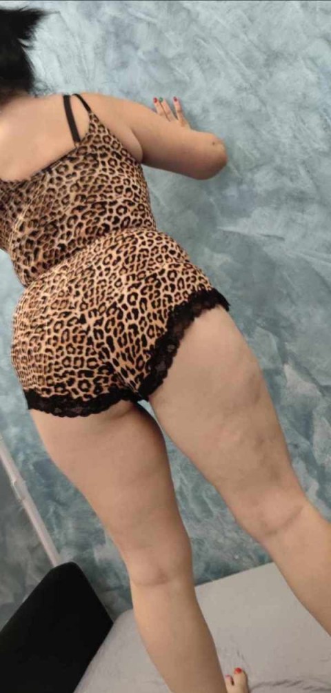 Matrimoniale Sighet – Serial Cu Dame De Companie