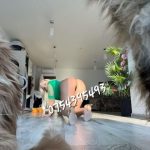 Sex blowjob ~ matrimoniale buzau doamne