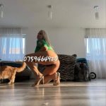 Tehnici de sex ~ matrimoniale alba24